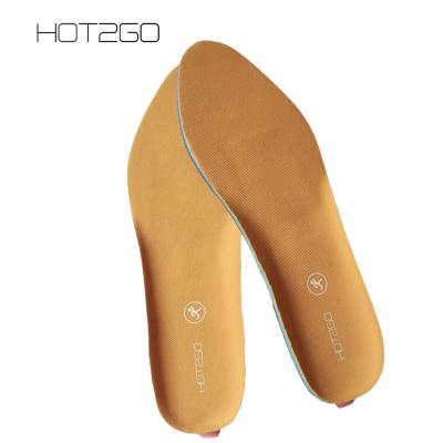 HOT2GO Heated insole